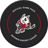 OHL Niagara Ice Dogs 2025-2026 Official Game Puck